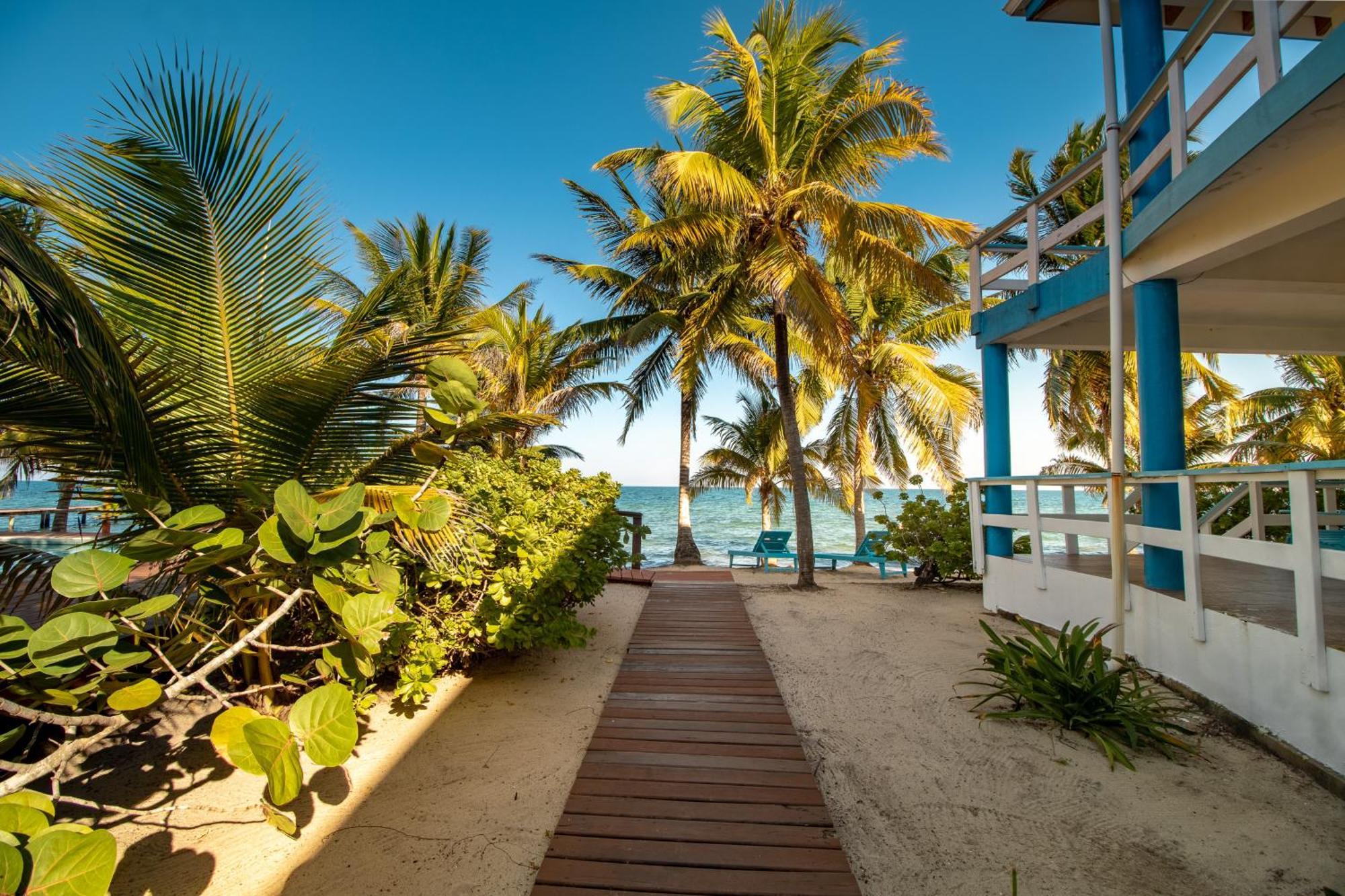 Beachside Villas Gold Standard Certified Placencia 객실 사진