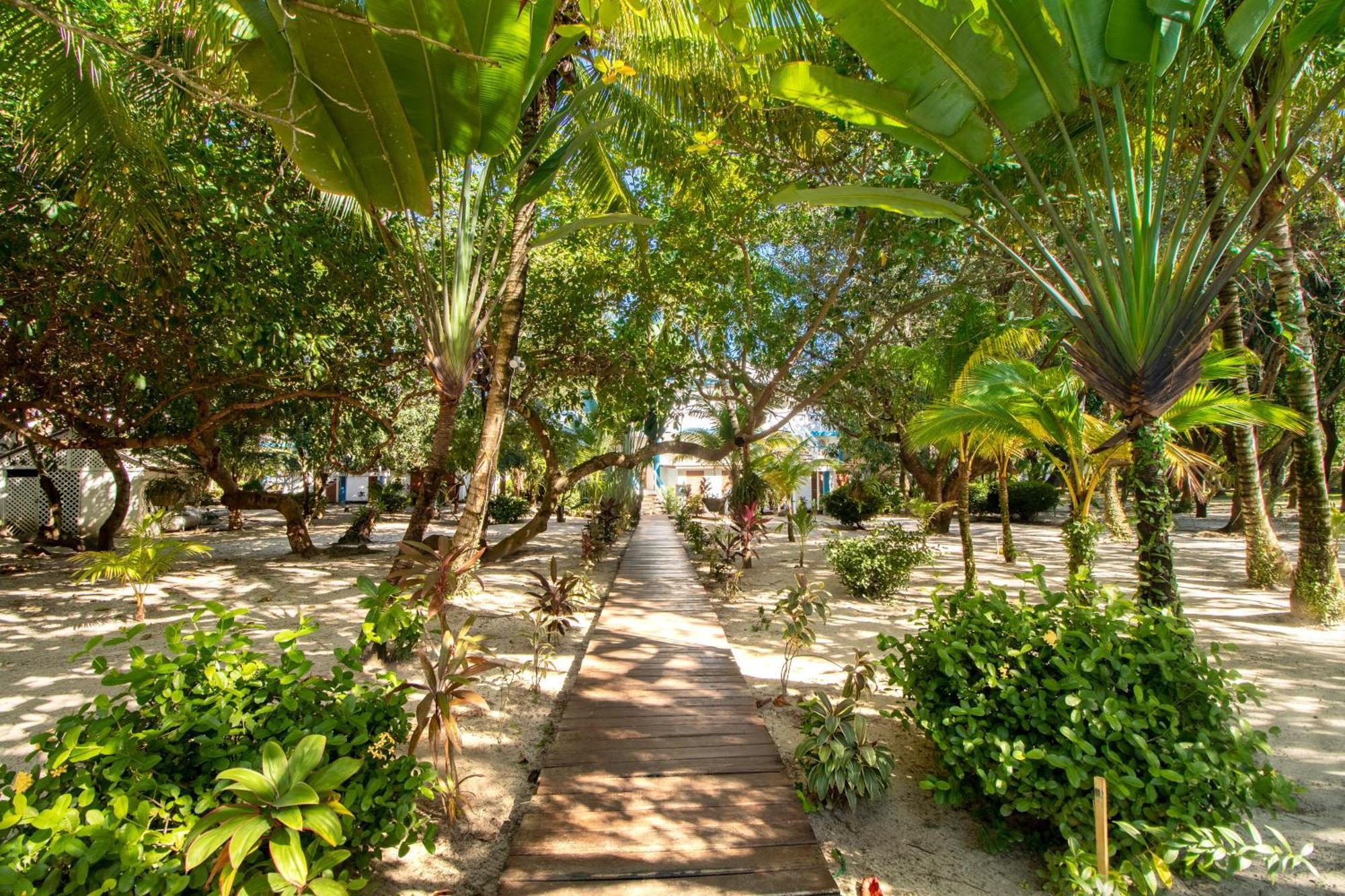 Beachside Villas Gold Standard Certified Placencia 객실 사진