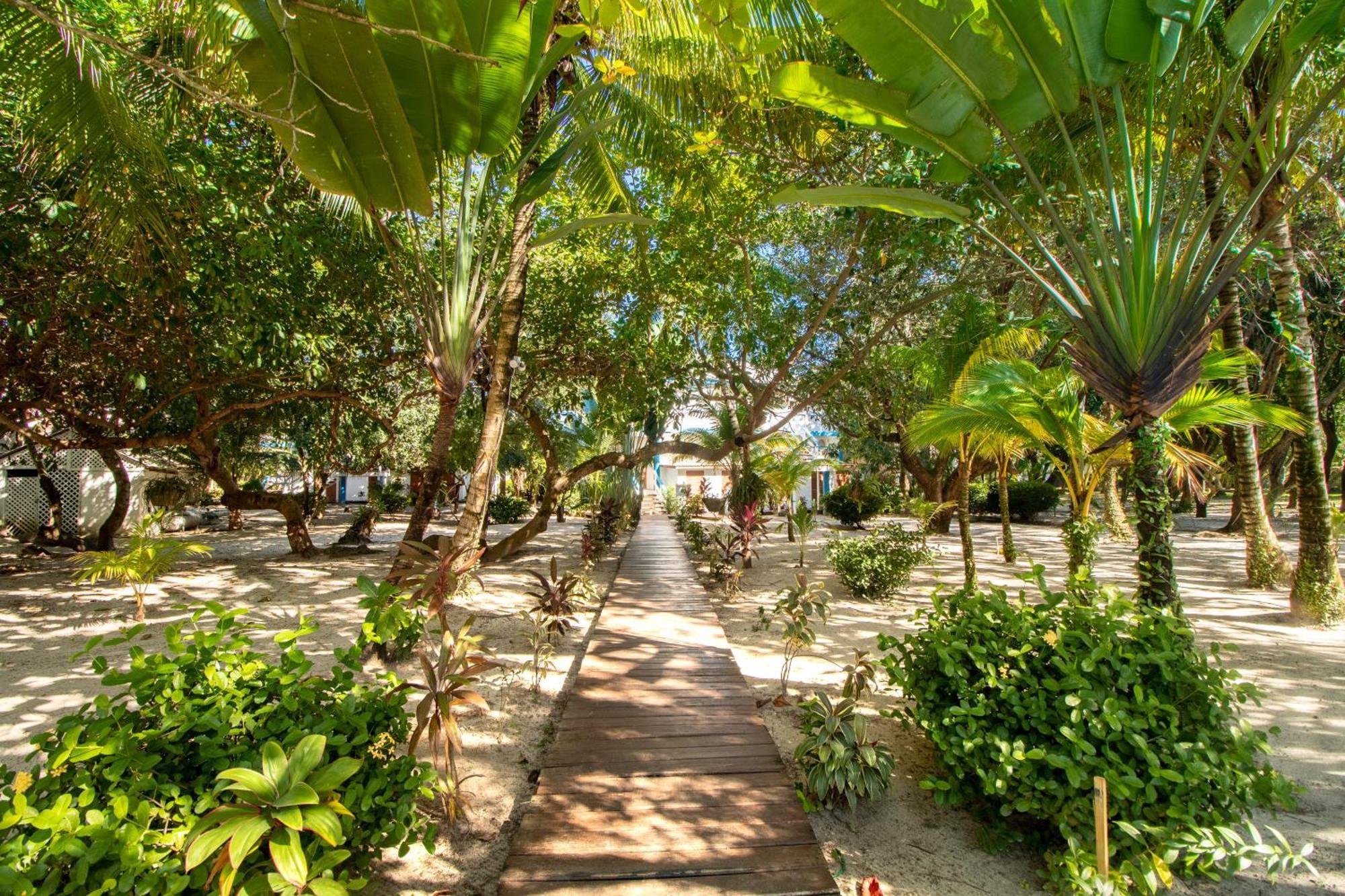 Beachside Villas Gold Standard Certified Placencia 객실 사진