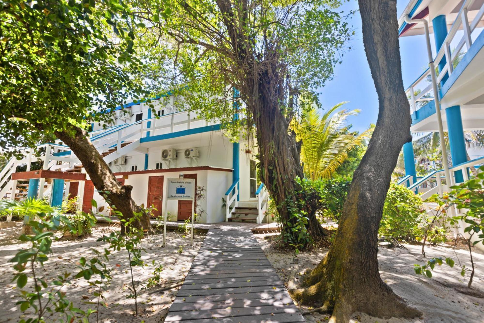 Beachside Villas Gold Standard Certified Placencia 객실 사진